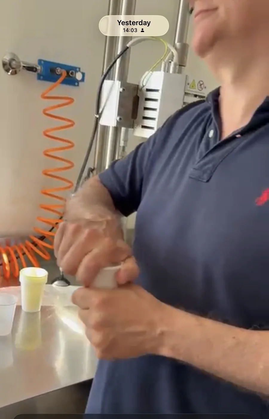 How to Taste Oliv Oil Like a Professional